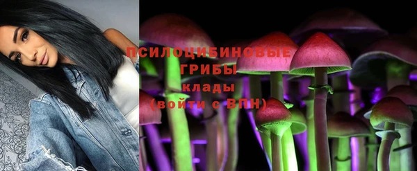spice Мегион