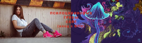 гидропоника Михайловск