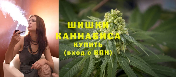 ПСИЛОЦИБИНОВЫЕ ГРИБЫ Медногорск