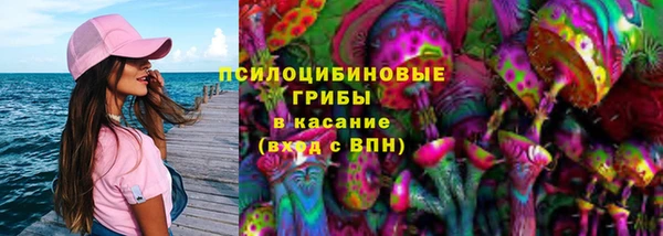 синтетический гашиш Медвежьегорск