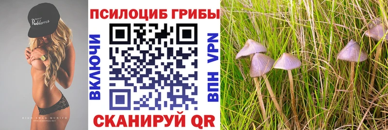 Галлюциногенные грибы мухоморы  Купить  Козловка 